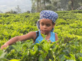 /album/fotogaleria-sri-lanka-maldivy-zajazd-vy-a-my/sri-lanka-zaajzd-7-jpg/